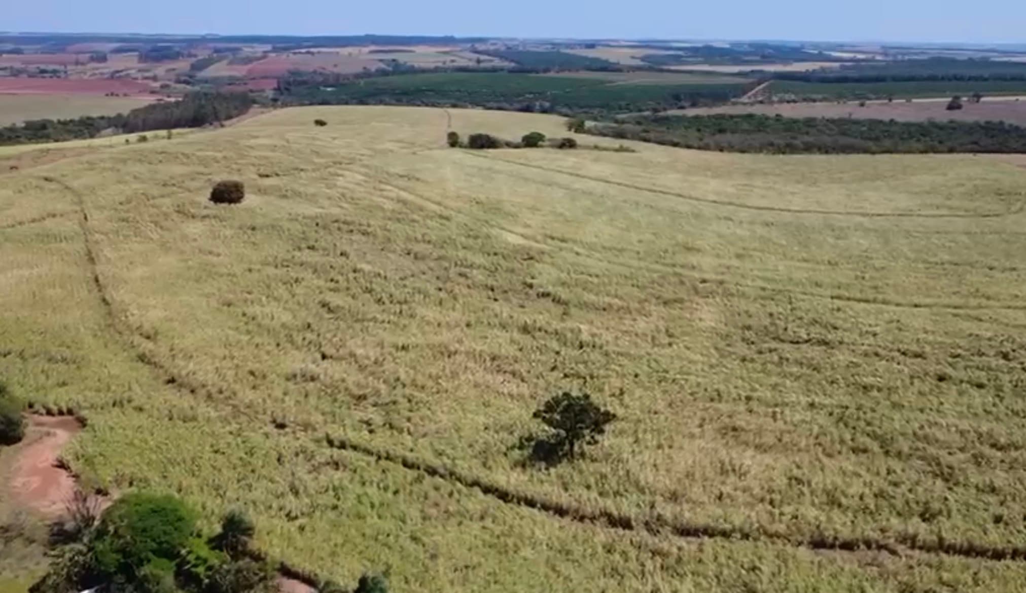 Fazenda